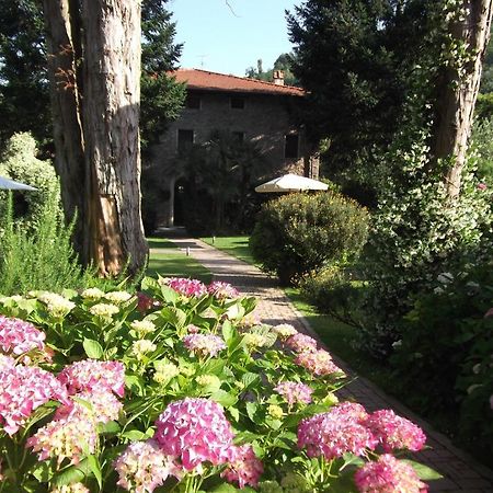 L'Arcadia Guest House Pietrasanta Eksteriør bilde