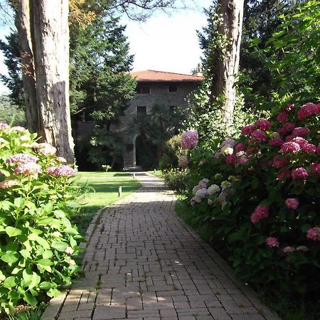 L'Arcadia Guest House Pietrasanta Eksteriør bilde