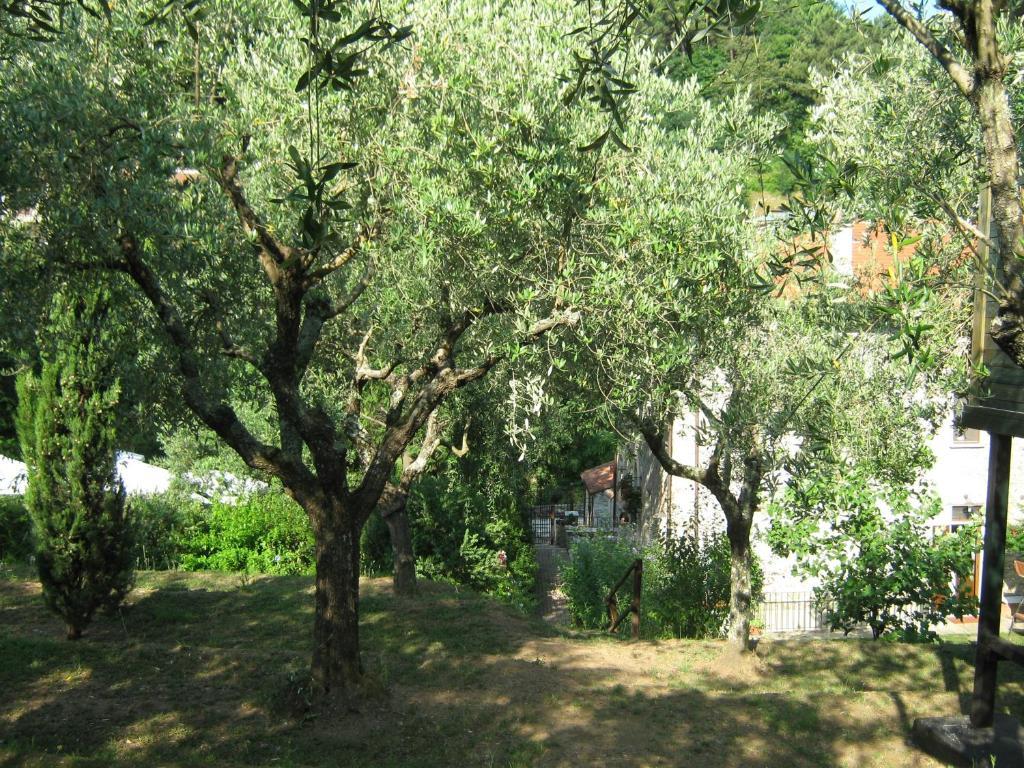 L'Arcadia Guest House Pietrasanta Eksteriør bilde