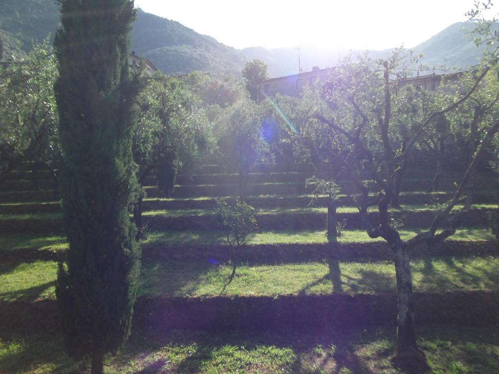L'Arcadia Guest House Pietrasanta Eksteriør bilde